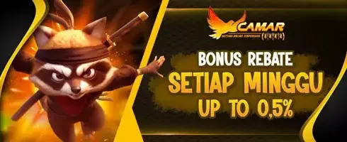 VIP Slot Weekly Rebate promotion